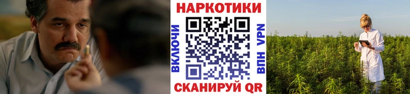 Где купить наркотики Кашин МЕГА ONION МАРИХУАНА A PVP Меф мяу мяу ГАШИШ