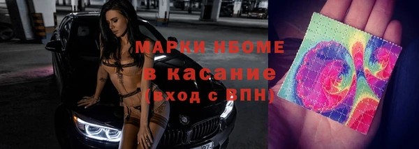 амф Богданович
